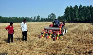 二月打雷是什么征兆