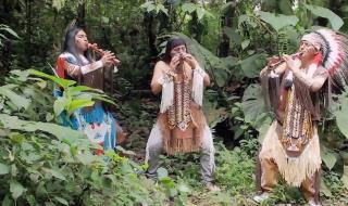 最后的莫西干人