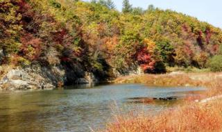 忘不了鱼多少钱一斤