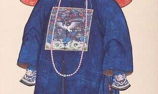 女秘书宦海沉浮上位