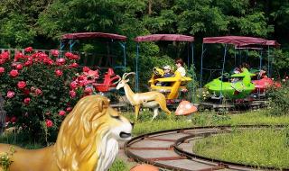 上海儿童室内游乐场