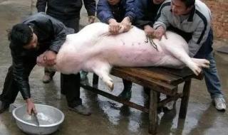 四川回应禁自家杀猪