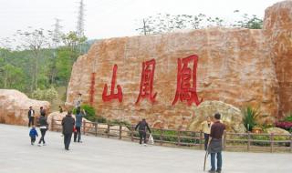 广州凤凰山森林公园