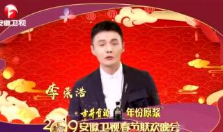 安徽卫视春晚节目表