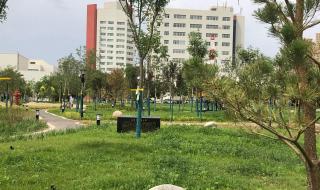 塔里木发现石油