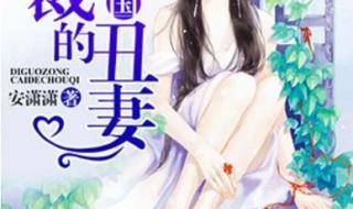 好看的完结言情小说