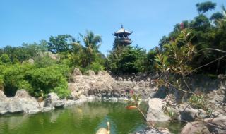 三亚热带森林公园