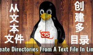 无法创建目录或文件