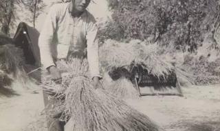 新土地法实施时间