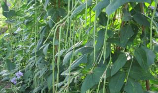 谁和谁好仿写句子