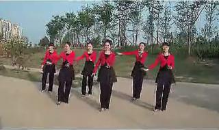 我从草原来广场舞