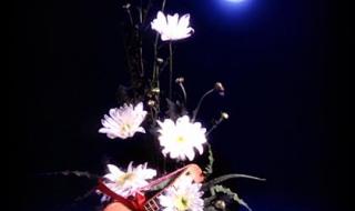 守住一颗宁静的心