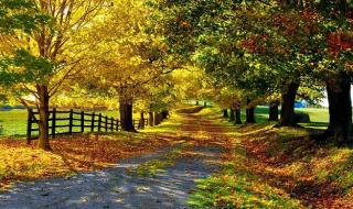 宽屏桌面壁纸高清