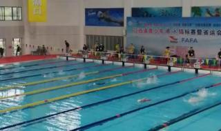 2022年全国游泳锦标赛