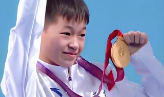 2017布达佩斯游泳世锦赛