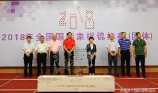 全国国际象棋锦标赛